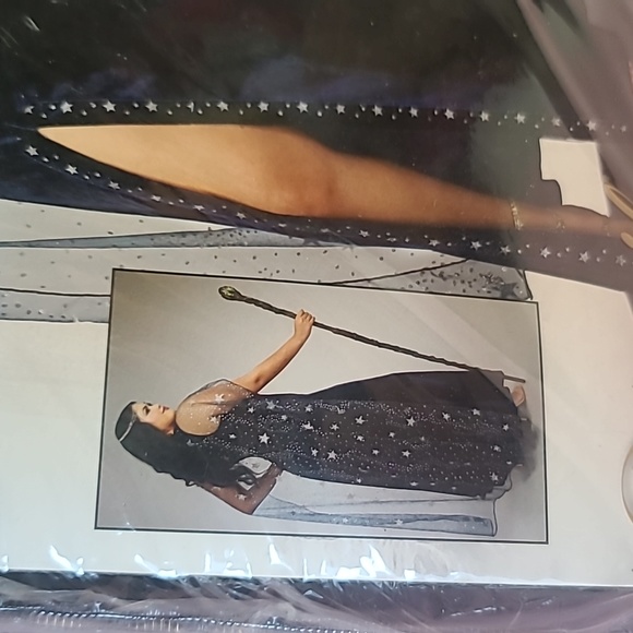 Plus sz costume ,available in sz 1x and sz 2x - Picture 3 of 3